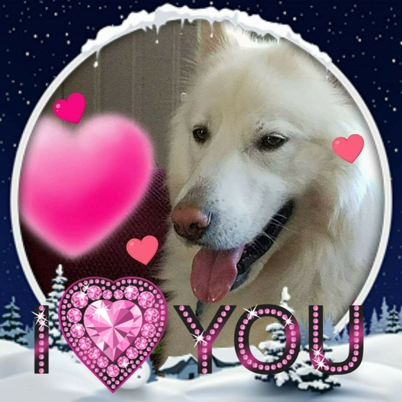 Meet your Posher, Tanya - Picture 1 of 1